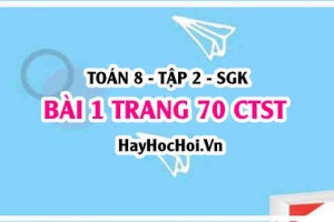 Bài 1 trang 70 Toán 8 Tập 2 Chân trời sáng tạo